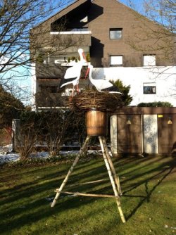 Storchennest Storchennest